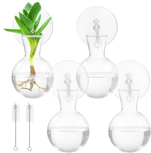 BOSREROY Lot de 4 pots de fleurs en verre avec ventouses et 2 brosses, idéal pour la décoration de la maison et du jardin