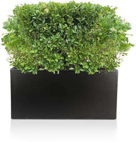 IDEALIST 65cm Large Trough | Black Reinforced Stone Rectangle Plant Pot | Garden Planters with Drainage Holes L65 W19 H30 cm, 37 litres
