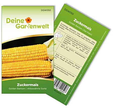 Zuckermais Golden Bantam Samen - Zea mays - Zuckermaissamen - Gemüsesamen - Saatgut Für 12 Pflanzen