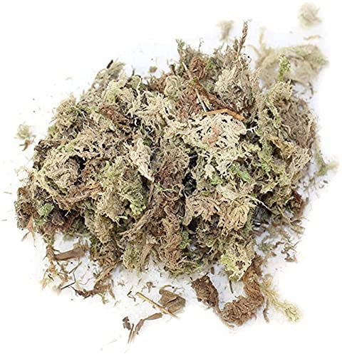 Générique Deft ProcessedMousse de sphaigne Mousse d'eau Mousse sèche Phalaenopsis Orchidées Substrat de Culture Hors Sol Paquet compressé 12L