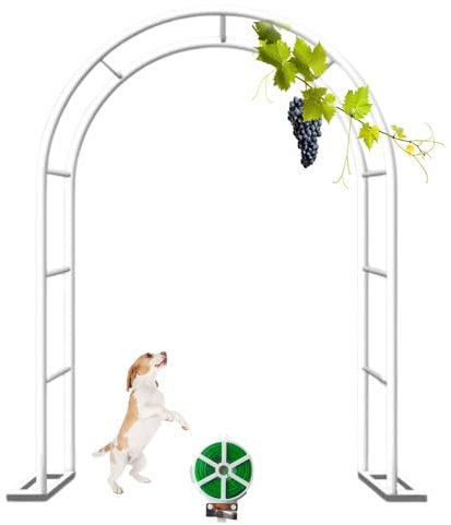 Arche De Jardin Métal Arceau Plantes Grimpantes, 80cm W X 200cm H Treillis D'arche De Jardin, Arceau À Rosiers Réutilisable pour Intérieur/Extérieur/Jardin Pelouse/Mariage(Blanc,80x200cm/31x79in)