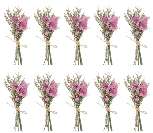 PATIKIL Mini Dried Flower Bouquet, 10 Pcs Forget-me-not Natural Wildflower with Stem Decor Baby's Breath Boho Floral Plant Flower for Crafts DIY Photo Props Gift Wedding Decor, Pink