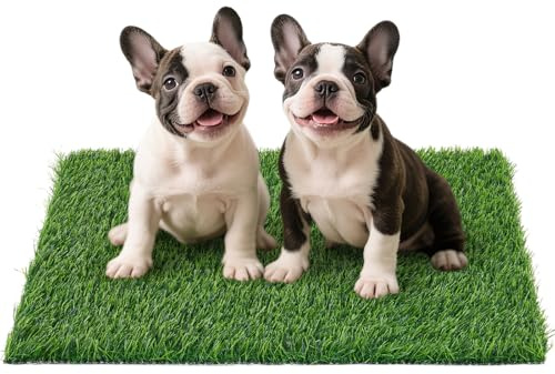 Artificial Grass Pad for Dogs Potty: Fake Grass for Dogs Puppy Potty Training to Pee and Poop on Balcony, Backyard, Patio, Apartment - Protect Floor and Furnitures, 2X Faster Drainage, Easy to Clean