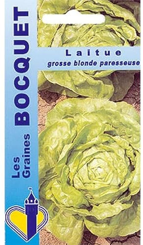 Sachet de graines de Laitue d'été Grosse blonde paresseuse - 4 g - légume feuille - LES GRAINES BOCQUET