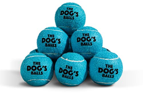 The Dog's Balls Dog Tennis Balls Tough 2.5 12-Pack Blue Floats in Water