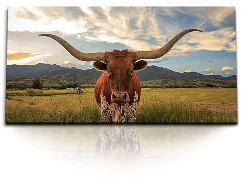 Paul Sinus Kunstdruck Bilder 120x60cm Texas Longhorn Stier Bulle Tierfotografie Rind