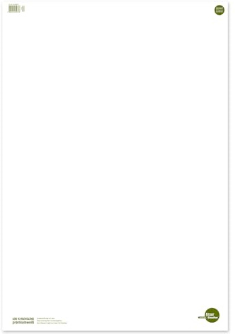 Staufen Style Flip Chart - 68 x 99cm, en blanco, 20 hojas, papel reciclado extra blanco 80g/m², 5 piezas