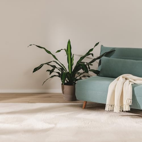 benuta Basic Tappeto salotto Furry - Beige 80x150 cm - Soffice salotto - Retro antiscivolo - Lavabile - Compatibile con riscaldamento pavimento