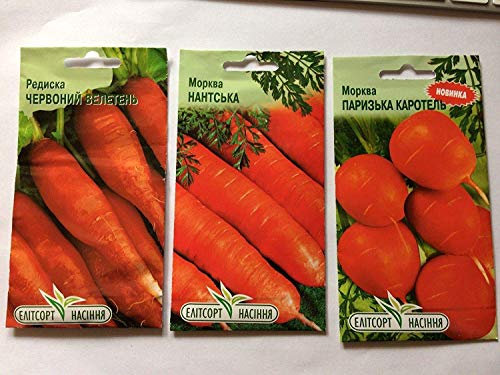 Messaggi Nr2 Semi di Carota Russie/Ucraina Nantskaya, Diametro Red Travel
