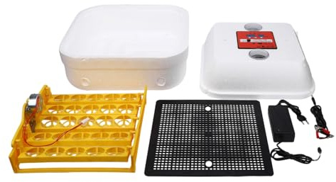 Tnfeeon Incubatrice Automatica per Polli, Girauova da 25 Pezzi con Finestra di Visualizzazione per la Casa, Macchina per Covare Polli, Anatre, Oche, Piccola Fattoria, per Allevamento