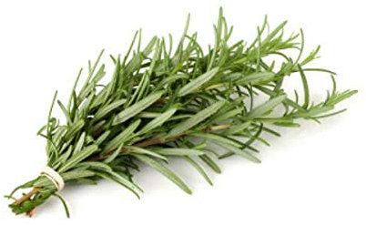 550mg Certified Organic Rosemary Semi ~ 400 semi perenne santoreggia d'erboristeria