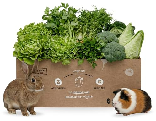 Gemischte Frischfutter-Box 3 kg für Kaninchen & Meerschweinchen | Salat, Kräuter & Gemüse für Kleintiere | Heimtier Frischfutter von Knollenliebe