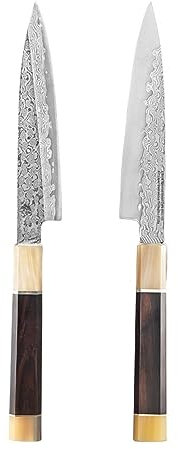 Couteau Sashimi de style japonais, damas à 67 couches, couteau forgé for filet de saule, couteau à Sushi, couperet à viande, filet de saumon, AUS-10