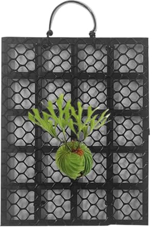 Planche de montage en forme de fougère de cerf - Support mural - Orchidées Platycerium - Décoration d'intérieur pour jardin, intérieur, extérieur, bureau, dortoir, chambre à coucher