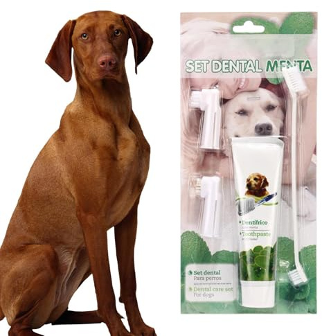 Ensemble De Soins Bucco-dentaires Pour Animaux De Compagnie – Brosse Pour Chien À Trois Côtés, Dentifrice Aromatisé | Gel Dentaire À Saveur De Bœuf, Pâte Dentifrice Comestible Au Beurre De Cacahuète,