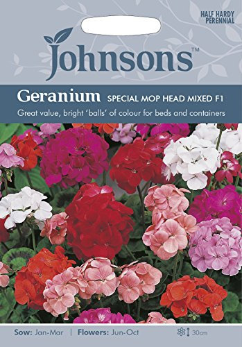 Johnsons 10754 Flower Seeds, Geranium Special Mop Head Mixed F1