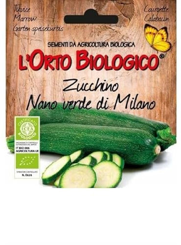 Idroponica Semi biologici di Zucchino Nano Verde Milano