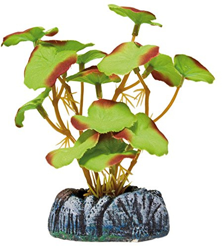 Aquatic Plants AP1116 Planta de Seda Nenúfar para Acuarios, 10,5 Cm
