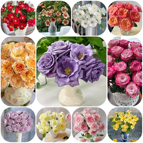 semillas de rosal, rosal trepador variedades antiguas, primavera perennes resistentes para balcones, resistentes 200pcs
