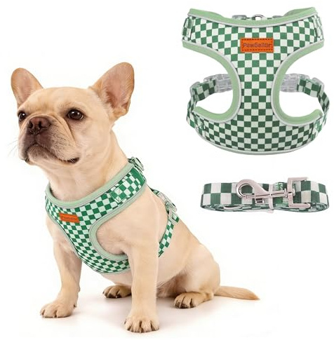 PawSailor Arnés para Perro Pequeño con Correa Arnes Cachorro Verde S