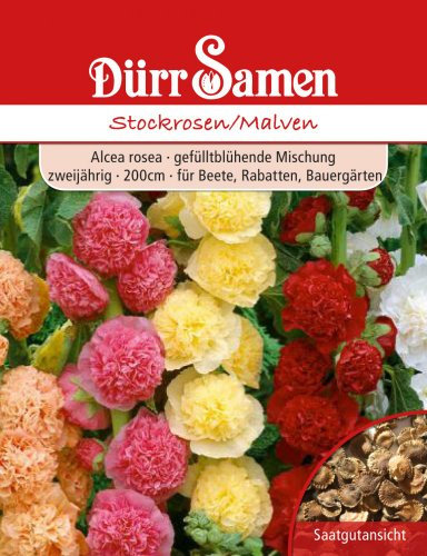 Dürr-Samen - Stockrosen/Malven zweijährig 200 cm Saatgut