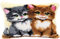 Vervaco Kit Point Noué Á Faire Coussin Broderie Debutant DIY DES CHATS Latch Hook Kit Complet Decoration Maison Manuelle Loisir Créatif ca. 40 x 40 cm Embroidery