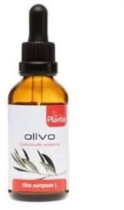Artesanía Agrícola Extracto de Olivo Maese Herbario 50 ml – Pack de 2 (100 ml Totales)
