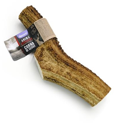Record - Corna di Cervo, Masticativo Naturale per Cani di Lunga Durata. Snack per Cani Resistenti, Ricchi di Minerali e Calcio, Senza Additivi o Conservanti. Adatto a tutti | XL, 161-220 gr