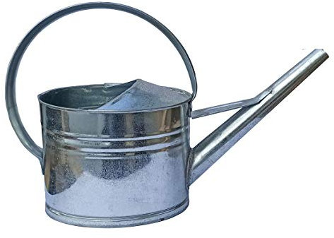 Zinkgießkanne Gießkanne 5L 8L 10L 12L Blumengießkanne Metall feuerverzinkt Zink Silber für Innen- und Außenbereich (8 L)