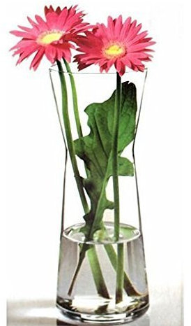 Pasabahce 43526 Botanica Glasvase mit Taille, 26 cm hoch | elegant, moderne Blumenvase & Dekogefäß | klassisches Design, spülmaschinenfest & robust | Tischaccessoire für Wohnzimmer, Büro & Gastronomie