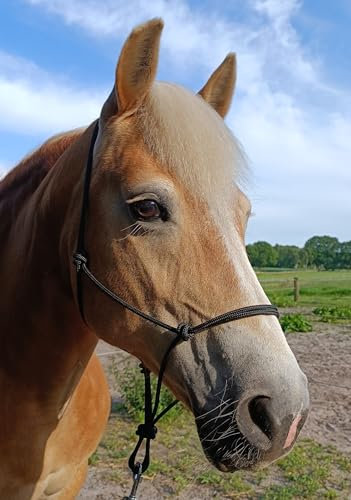 Knotenhalfter - Made in Germany (Braun, COB)