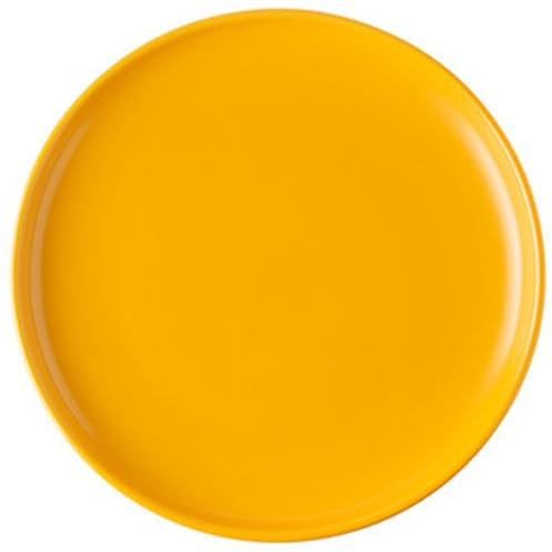 Hperu Dinner Plate, 10 Inch Ceramic Round Serving Dish, Microwavable & Dishwashable Large Plate for Desserts, Steaks, Salads, Pizza - Dinner