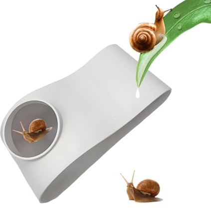 Aquarium Underground Tunnel, Betta Underground Tunnel Hideaway Cave, Fish Tank Decor for Kuhli Loach Corydora Catfish Shrimp Chili Rasbora Breeding Playing Resting