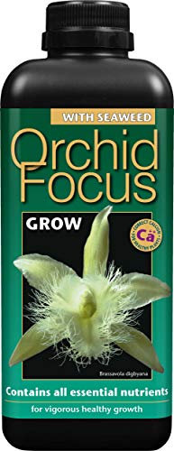 Orchid Focus Grow (Wachstum) 1 Liter