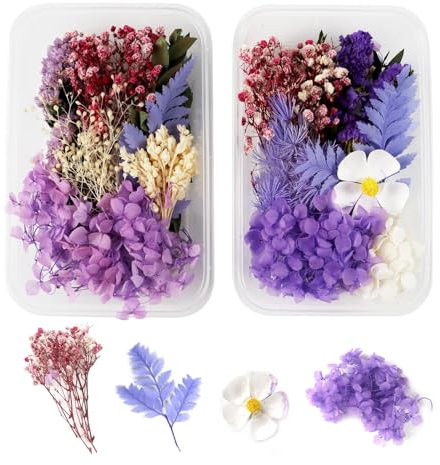 GEFIRE 2 Stück Natürliche Getrocknete Blumen, Trockenblumen Set Trockenblumen zum Basteln Gepresste Blumen Klein für Kunst Basteln DIY Harz Scrapbooking Handwerk Karten Machen (Lila)