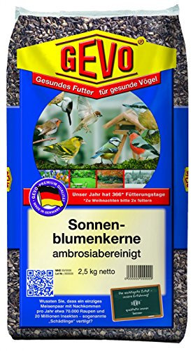 Graines de tournesol rayées | 2,5 kg de graines de tournesol de qualité supérieure