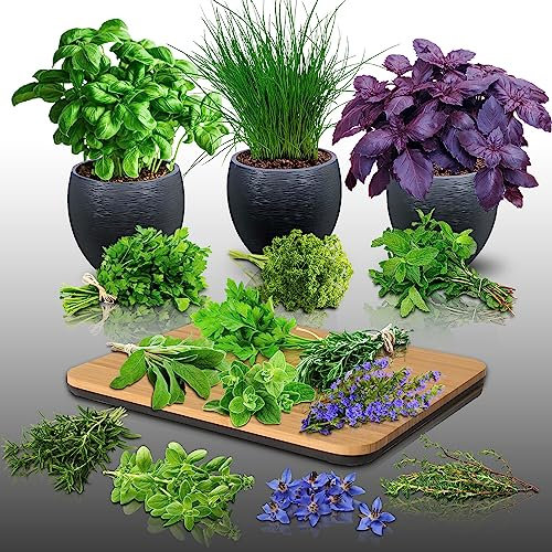 Lot de 2570 graines à semer - Le Grenier d'Abondance - Mélange Aromatique - 15 sachets individuels