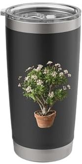 Jade Plant Summer Spring Stainless Steel Insulated Tumbler