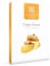 Healthspan Ginger Extract 100mg (4 Months' Supply) | Support Your Digestive Health | Equivalent to 12,000mg of Whole Ginger Root | Providing 20mg Gingerols | Easy to Swallow Capsules | Vegan