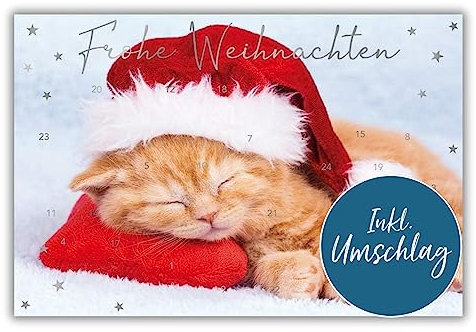 bsb Weihnachtskarte mit Umschlag - Adventskarten mit Türchen - Adventskalender Postkarte mit Katzen-Motiv - Karte Adventskalender - Weihnachten-Karte in 11,5 x 17,0 cm