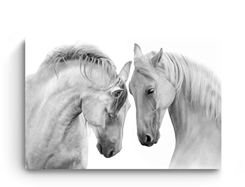 Startonight Cuadro sobre Vidrio Acrílico - Caballos Blancos Dulces - Moderno Cuadro de Cristal Acrílico 60 x 90 cm