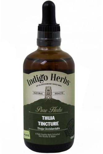 Indigo Herbs Thuja Tincture 100ml
