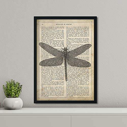 Nacnic stampa artistica con rappresentazione di una libellula su sfondo con carta di giornale con impressa la definizione in ligua spagnola di liberà. insetti e natura su sfondo vintage.