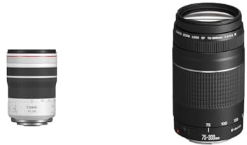 Canon RF 70-200mm F4L is USM Objektiv & EF 75-300mm F4.0-5.6 III Zoomobjektiv (58mm Filtergewinde) schwarz