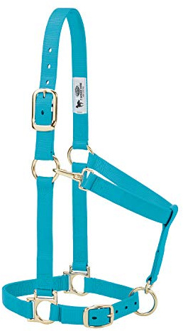 Weaver Leather Cavezza regolabile in nylon, turchese, 2,5 cm, cavallo grande