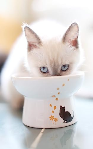 Minibees Raised Cat Bowl, Cat Food Bowl, Premium Elevated Cat Bowl, Porcelain Cats Feeding Bowl, Pet Supplies, Backflow Prevention, Stress Free, Small to Medium, Safety Choice for Your pet