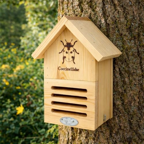 CKB LTD Casa de madera para mariquitas para jardín, caja de hábitat de mariquitas de madera de pino, hotel, refugio de insectos para el hogar al aire libre con agujero exterior para colgar