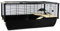 Little Friends Grosvenor Rat and Hamster Cage with Wooden Shelf and Ladder, Large, 78 x 48 x 36 cm, Black