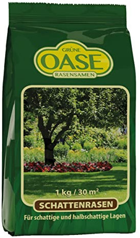 Schattenrasen Rasensamen Saatgut 1kg für 30m²