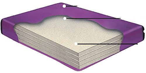 90% WAVELESS WATERBED Mattress (Queen 60x84 Tranquil4)